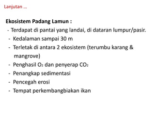 Ekosistem Padang Lamun :
- Terdapat di pantai yang landai, di dataran lumpur/pasir.
- Kedalaman sampai 30 m
- Terletak di antara 2 ekosistem (terumbu karang &
mangrove)
- Penghasil O2 dan penyerap CO2
- Penangkap sedimentasi
- Pencegah erosi
- Tempat perkembangbiakan ikan
Lanjutan …
 