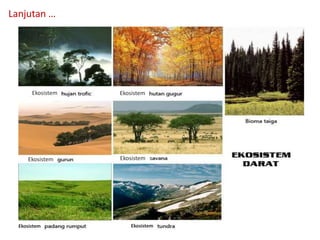 Ekosistem
Ekosistem
Ekosistem
Ekosistem
EkosistemEkosistem
Lanjutan …
 