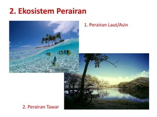 2. Ekosistem Perairan
1. Perairan Laut/Asin
2. Perairan Tawar
 