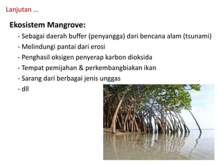 Ekosistem Mangrove:
- Sebagai daerah buffer (penyangga) dari bencana alam (tsunami)
- Melindungi pantai dari erosi
- Penghasil oksigen penyerap karbon dioksida
- Tempat pemijahan & perkembangbiakan ikan
- Sarang dari berbagai jenis unggas
- dll
Lanjutan …
 