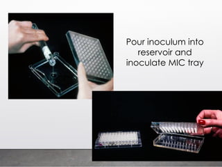 Inoculum Assembly pertemuan 7 Antimicrobial assay PPT.pdf