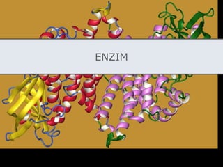 ENZIM
 