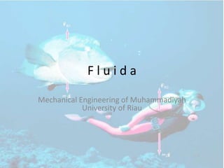 F l u i d a 
Mechanical Engineering of Muhammadiyah 
University of Riau 
 