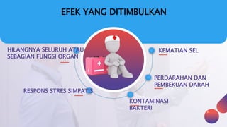EFEK YANG DITIMBULKAN
9
KEMATIAN SEL
PERDARAHAN DAN
PEMBEKUAN DARAH
HILANGNYA SELURUH ATAU
SEBAGIAN FUNGSI ORGAN
RESPONS STRES SIMPATIS
KONTAMINASI
BAKTERI
 