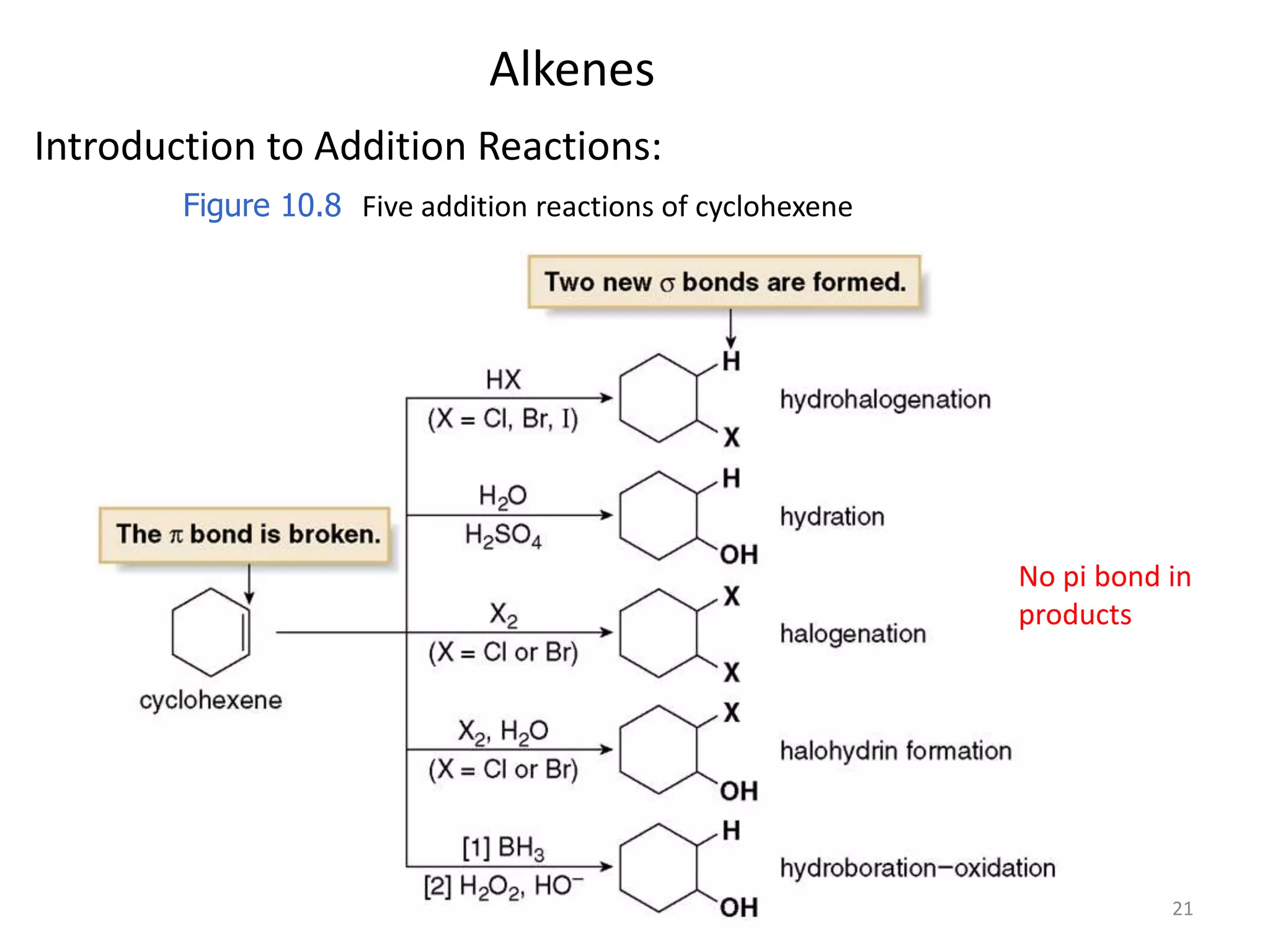 21 
Alkenes 
Introduction to Addition Reactions: 
Figure 10.8 Five addition reactions of cyclohexene 
No pi bond in 
products 
 