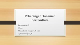 Pekarangan Tanaman
hortikultura
Pertemuan ke-3
Oleh :
Chaula Lutfia Saragih, S.P., M.Si
Agroteknologi UQB
 
