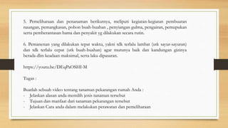 5. Pemeliharaan dan penanaman berikutnya, meliputi kegiatan-kegiatan pembuatan
naungan, pemangkasan, pohon buah-buahan , penyiangan gulma, pengairan, pemupukan
serta pemberantasan hama dan penyakit yg dilakukan secara rutin.
6. Pemanenan yang dilakukan tepat waktu, yakni tdk terlalu lambat (utk sayur-sayuran)
dan tdk terlalu cepat (utk buah-buahan) agar mutunya baik dan kandungan gizinya
berada dlm keadaan maksimal, serta laku dipasaran.
https://youtu.be/DEqPaOSHI-M
Tugas :
Buatlah sebuah video tentang tanaman pekarangan rumah Anda :
- Jelaskan alasan anda memilih jenis tanaman tersebut
- Tujuan dan manfaat dari tanaman pekarangan tersebut
- Jelaskan Cara anda dalam melakukan perawatan dan pemeliharaan
 