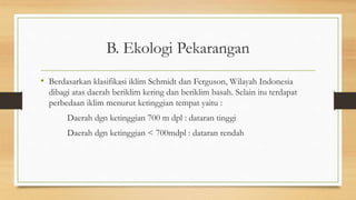 B. Ekologi Pekarangan
• Berdasarkan klasifikasi iklim Schmidt dan Ferguson, Wilayah Indonesia
dibagi atas daerah beriklim kering dan beriklim basah. Selain itu terdapat
perbedaan iklim menurut ketinggian tempat yaitu :
Daerah dgn ketinggian 700 m dpl : dataran tinggi
Daerah dgn ketinggian < 700mdpl : dataran rendah
 