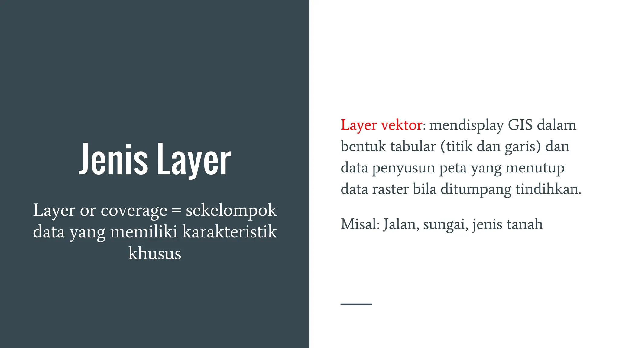 Jenis Layer
Layer or coverage = sekelompok
data yang memiliki karakteristik
khusus
Layer vektor: mendisplay GIS dalam
bentuk tabular (titik dan garis) dan
data penyusun peta yang menutup
data raster bila ditumpang tindihkan.
Misal: Jalan, sungai, jenis tanah
 