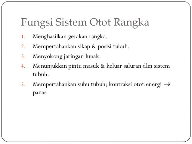 Pertemuan Otot Dan Rangka
