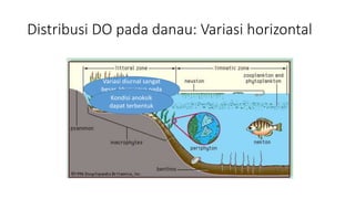 Distribusi DO pada danau: Variasi horizontal
Variasi diurnal sangat
besar, khususnya pada
musim panasKondisi anoksik
dapat terbentuk
 