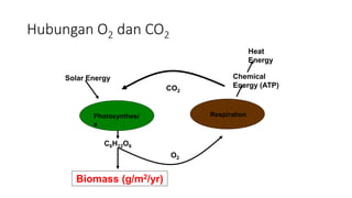 Hubungan O2 dan CO2
CO2
C6H12O6
Solar Energy
Heat
Energy
Biomass (g/m2/yr)
O2
Chemical
Energy (ATP)
Photosynthesi
s
Respiration
 