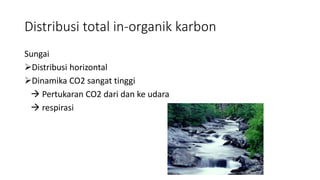 Distribusi total in-organik karbon
Sungai
Distribusi horizontal
Dinamika CO2 sangat tinggi
 Pertukaran CO2 dari dan ke udara
 respirasi
 