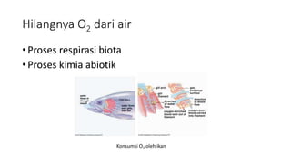 Hilangnya O2 dari air
• Proses respirasi biota
• Proses kimia abiotik
Konsumsi O2 oleh ikan
 