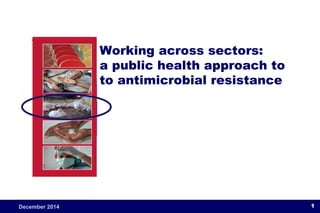 Working across sectors: 
a public health approach to 
to antimicrobial resistance 
December 2014 1 
 