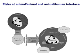 Risks at animal/animal and animal/human interface 
2December 2014 2 
 