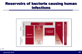 RReesseerrvvooiirrss ooff bbaacctteerriiaa ccaauussiinngg hhuummaann 
iinnffeeccttiioonnss 
2December 2014 3 
Source: WHO 
 