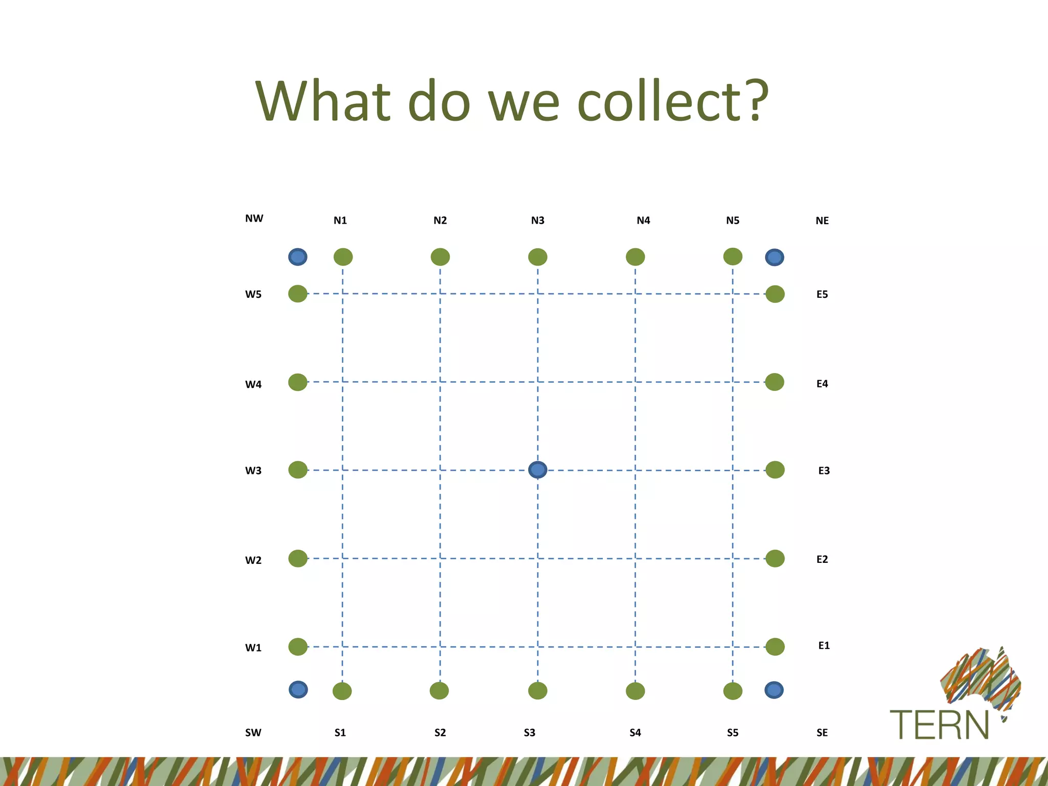 S1
NEN5N4N3N2N1NW
W5
W4
W3
W2
W1
SW S2 S3 S4 S5 SE
E1
E2
E3
E4
E5
What do we collect?
 