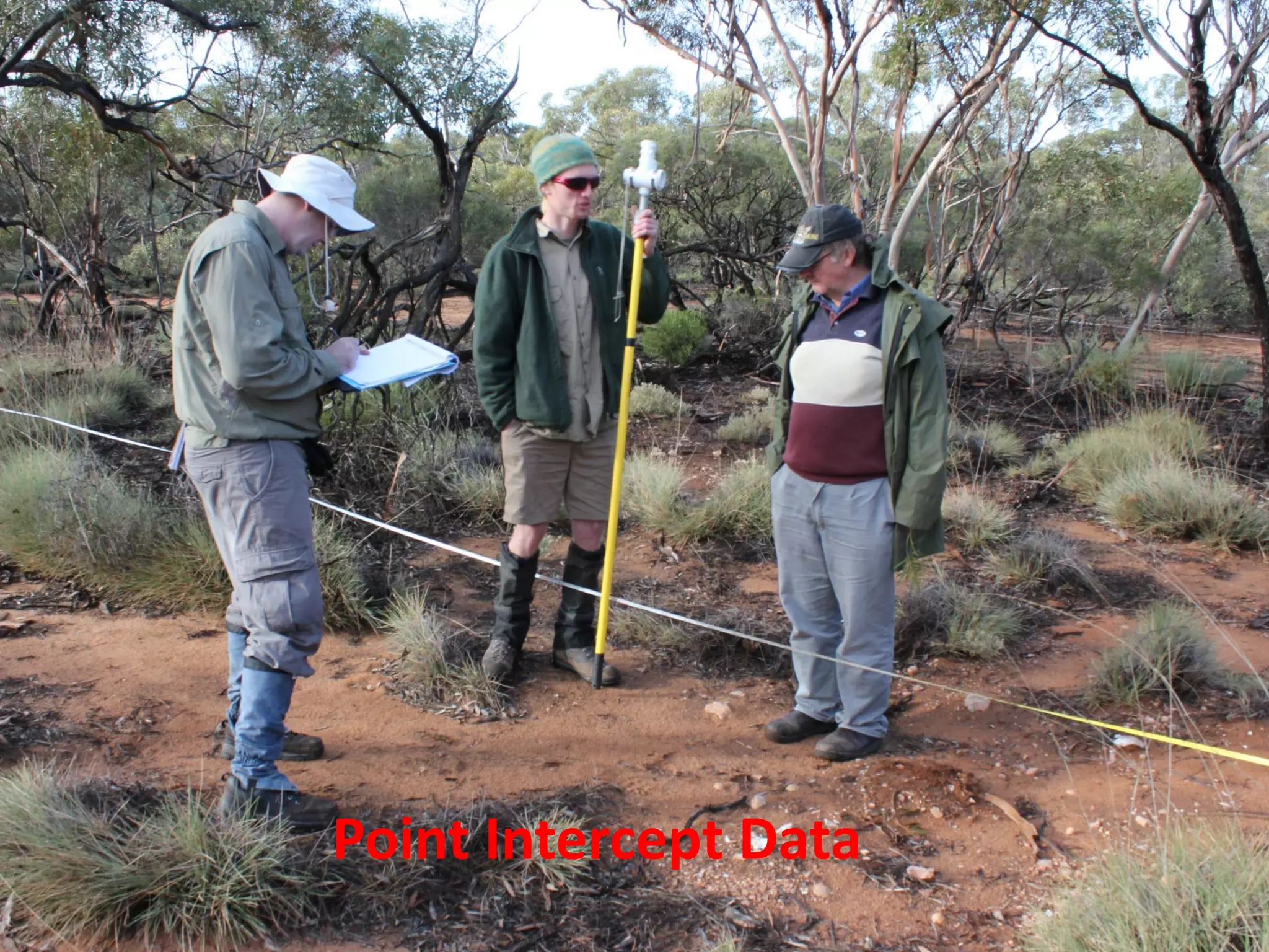 Point Intercept Data
 