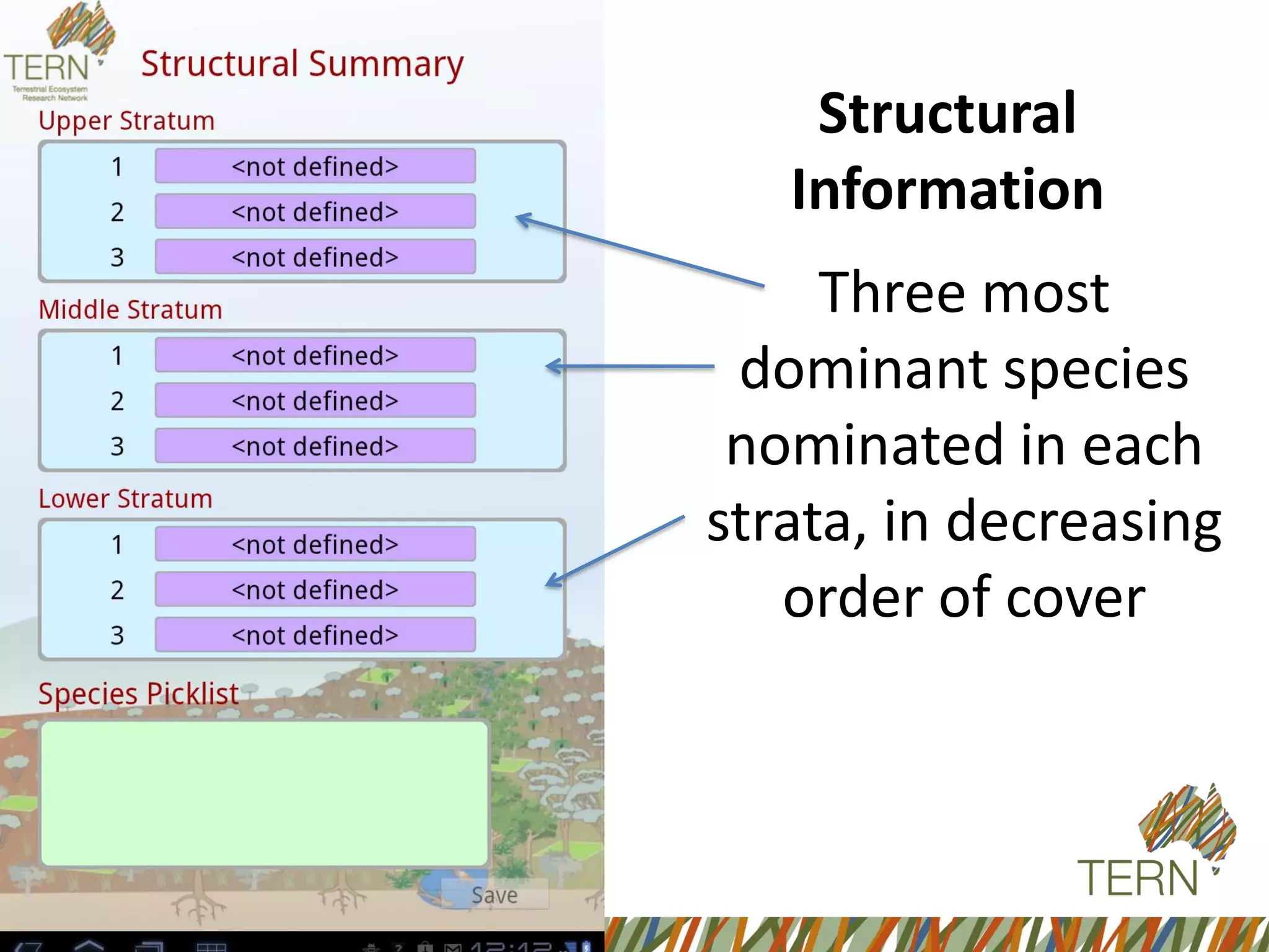 Three most
dominant species
nominated in each
strata, in decreasing
order of cover
Structural
Information
 