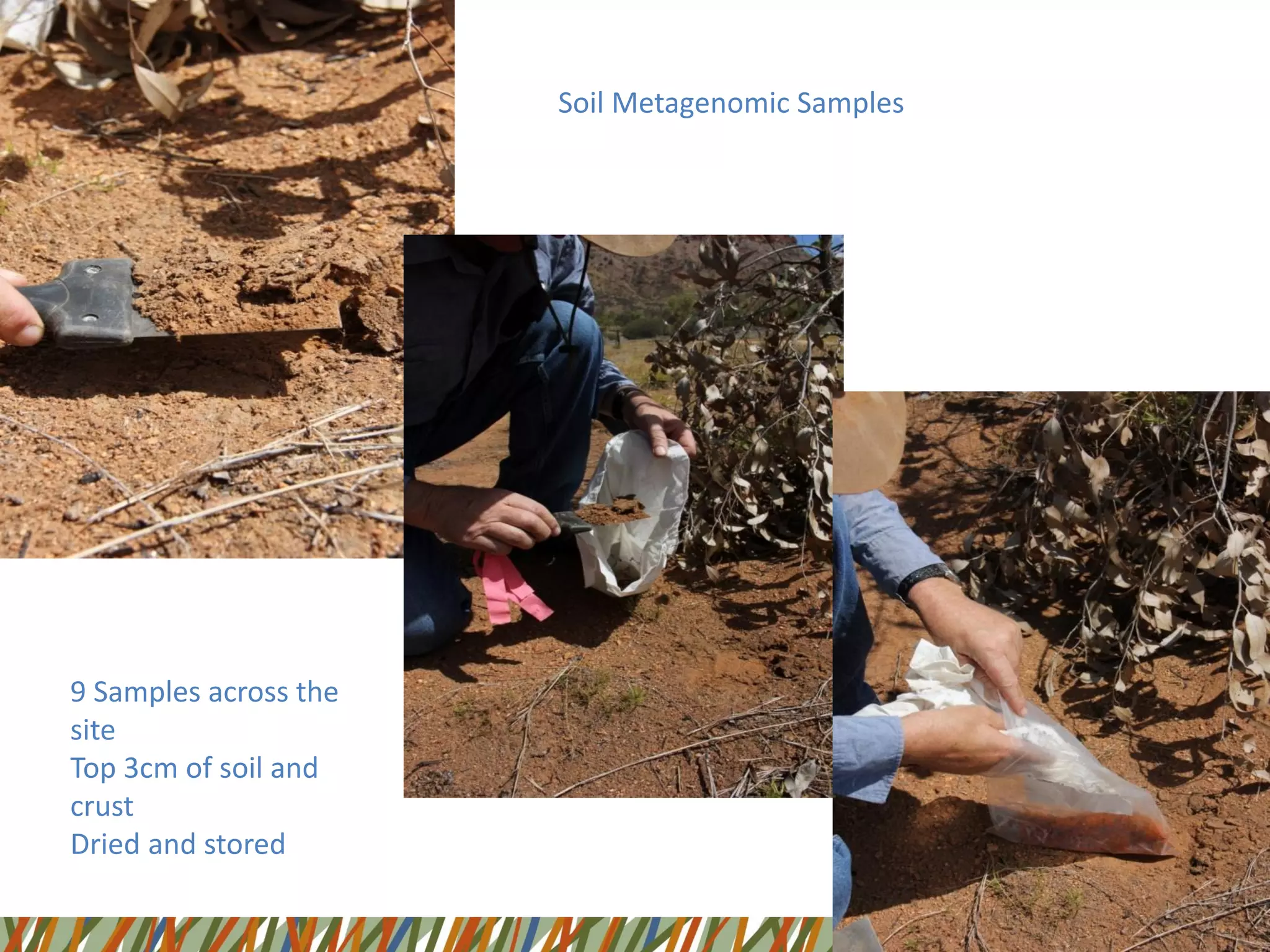 Soil Metagenomic Samples
9 Samples across the
site
Top 3cm of soil and
crust
Dried and stored
 