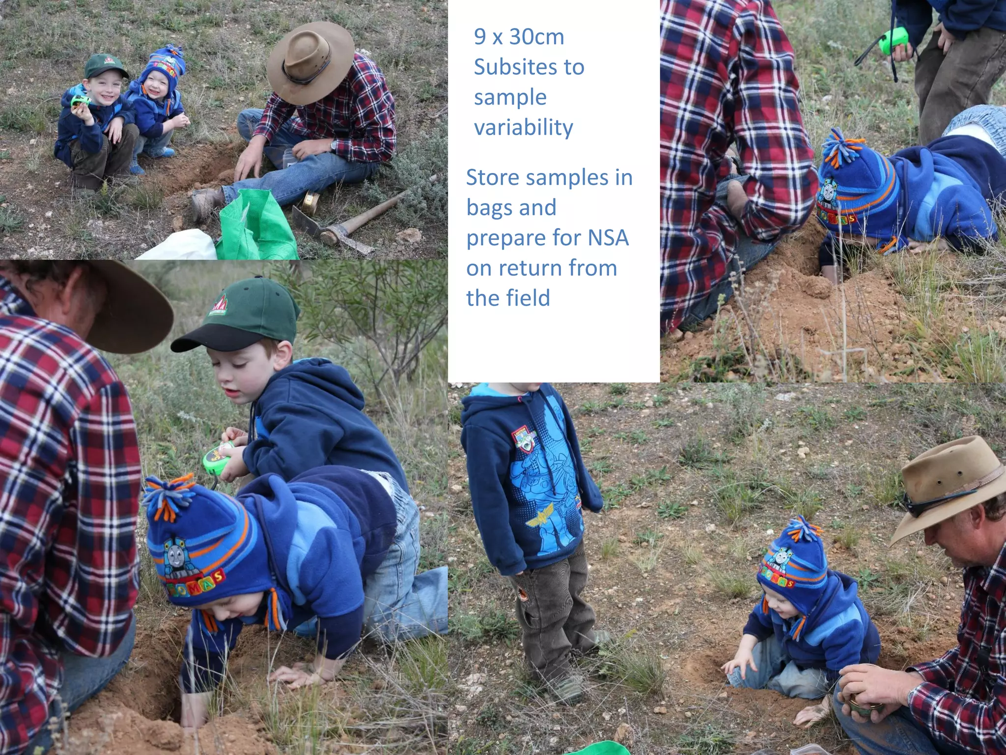 9 x 30cm
Subsites to
sample
variability
Store samples in
bags and
prepare for NSA
on return from
the field
 