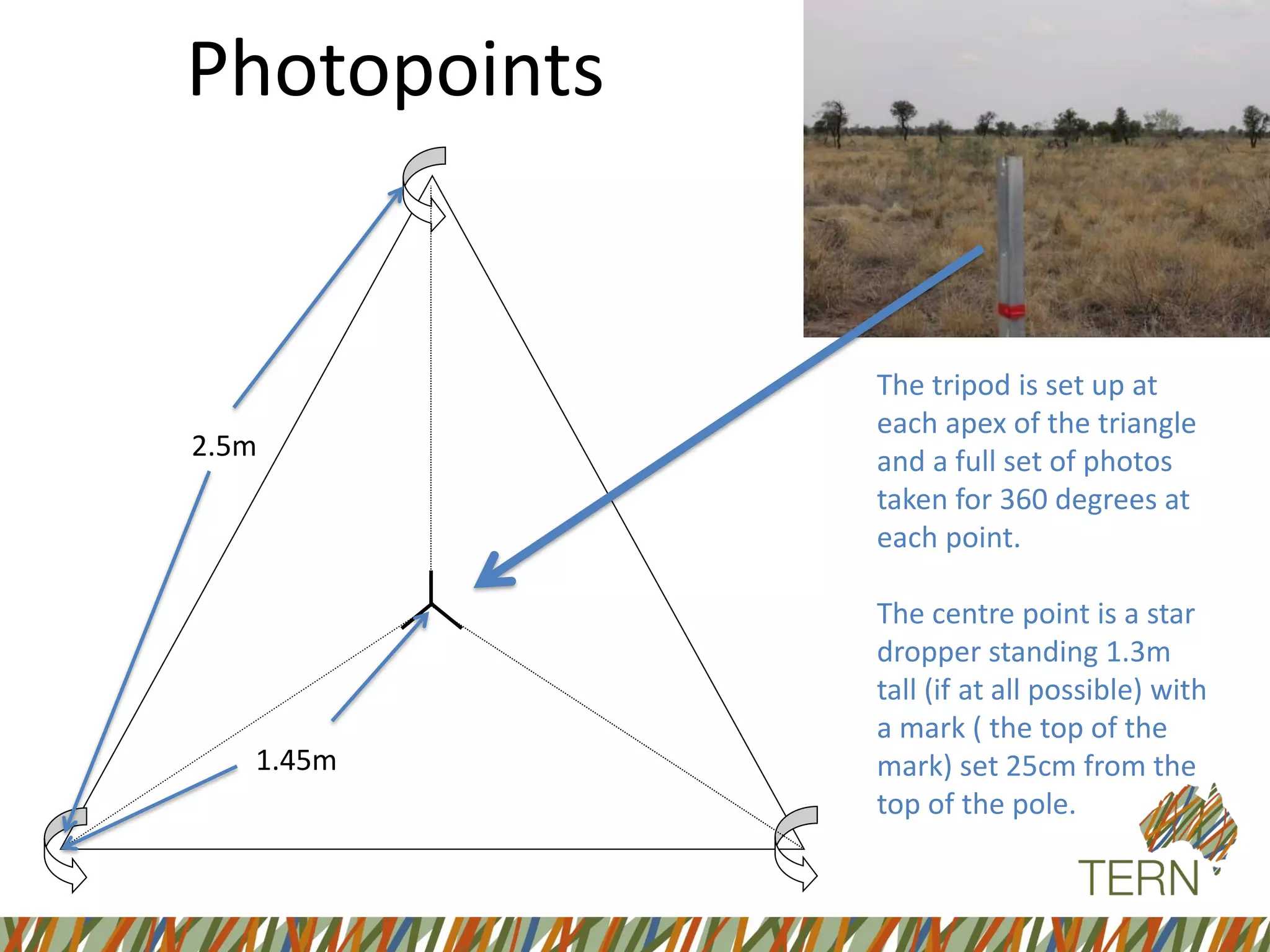 2.5m
1.45m
The tripod is set up at
each apex of the triangle
and a full set of photos
taken for 360 degrees at
each point.
The centre point is a star
dropper standing 1.3m
tall (if at all possible) with
a mark ( the top of the
mark) set 25cm from the
top of the pole.
Photopoints
 