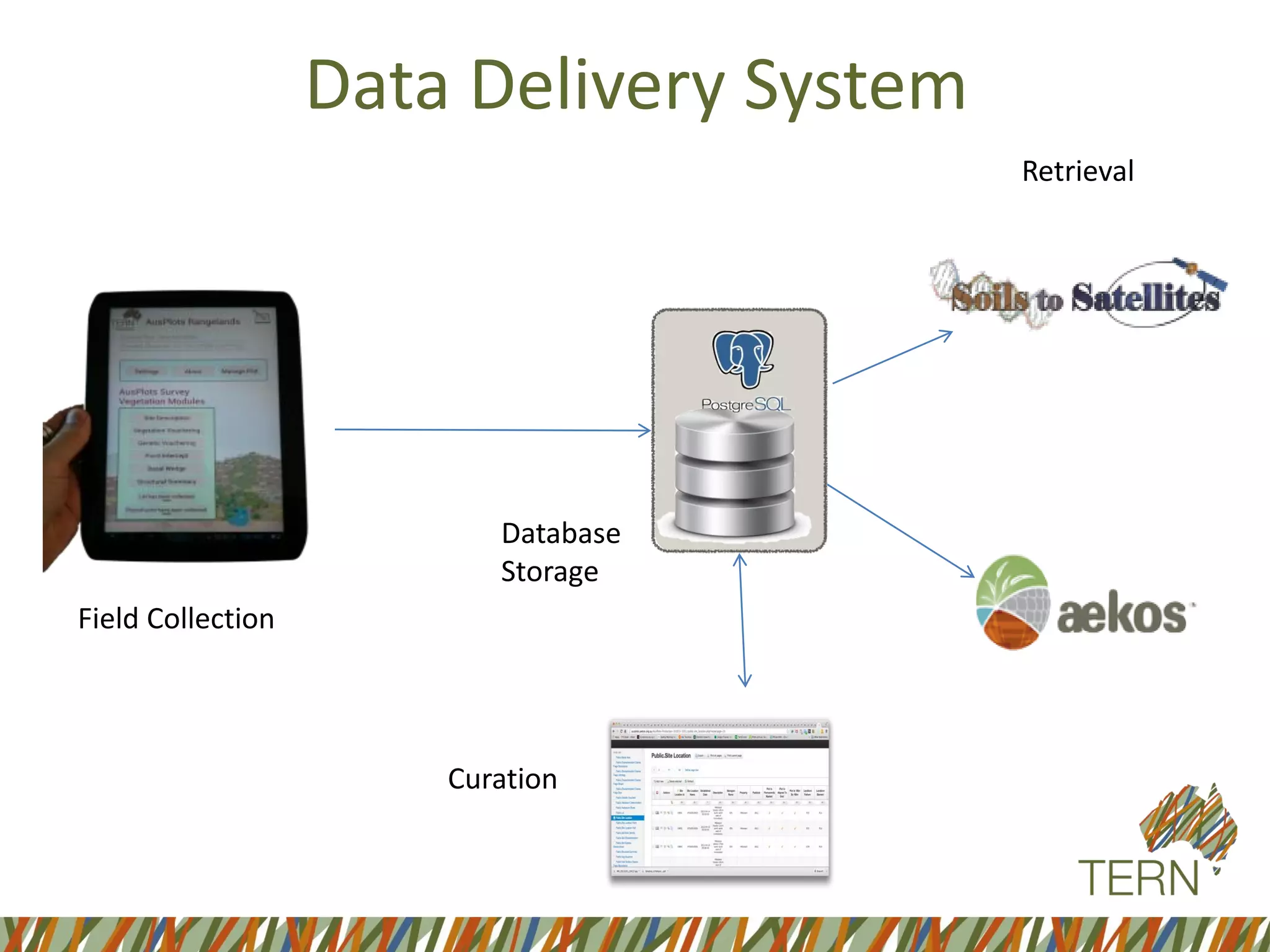 Data Delivery System
Field Collection
Curation
Database
Storage
Retrieval
 