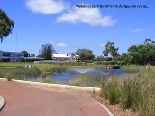 Wetlands para tratamento de água de chuva...
 