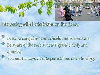 Interacting with Pedestrians on the Road:
Be extra careful around schools and parked cars.
Be aware of the special needs of the elderly and
disabled.
You must always yield to pedestrians when turning.
 
