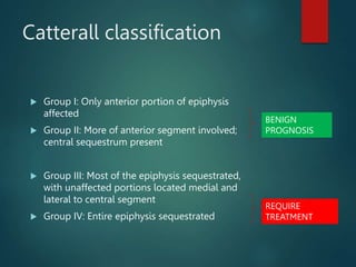 Catterall classification
 Group I: Only anterior portion of epiphysis
affected
 Group II: More of anterior segment involved;
central sequestrum present
 Group III: Most of the epiphysis sequestrated,
with unaffected portions located medial and
lateral to central segment
 Group IV: Entire epiphysis sequestrated
BENIGN
PROGNOSIS
REQUIRE
TREATMENT
 