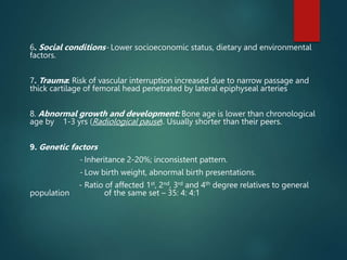 6. Social conditions- Lower socioeconomic status, dietary and environmental
factors.
7. Trauma: Risk of vascular interruption increased due to narrow passage and
thick cartilage of femoral head penetrated by lateral epiphyseal arteries
8. Abnormal growth and development: Bone age is lower than chronological
age by 1-3 yrs (Radiological pause). Usually shorter than their peers.
9. Genetic factors
- Inheritance 2-20%; inconsistent pattern.
- Low birth weight, abnormal birth presentations.
- Ratio of affected 1st, 2nd, 3rd and 4th degree relatives to general
population of the same set – 35: 4: 4:1
 