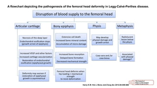 A flowchart depicting the pathogenesis of the femoral head deformity in Legg-Calvé-Perthes disease.
Harry K.W. Kim J Bone Joint Surg Am 2012;94:659-669
 