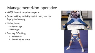 Management:Non-operative
• >60% do not require surgery
• Observation, activity restriction, traction
& physiotherapy
• Indications:
• <6 years age
• Herring A
• Bracing / Casting
1. Petrie cast
2. Scottish Rite brace
 