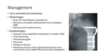 Management
• Varus derotational osteotomy
• Advaantages
• Seats the head deeply in acetabulum
• Removes vulnerable ant/lat portion from acetabular
edge
• Decrease joint reaction forces
• Disadvantages
• excessive varus angulation (especially in an older child)
• Limb shortening
• Trendelenburg gait
• Nonunion
• Hardware removal
• Premature closure of the capital femoral physis may
cause further varus deformity & trachantric overgrowth
 