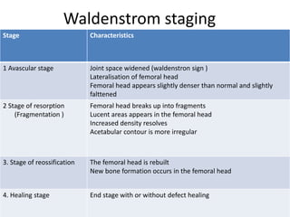 Waldenstrom staging
Stage Characteristics
1 Avascular stage Joint space widened (waldenstron sign )
Lateralisation of femoral head
Femoral head appears slightly denser than normal and slightly
falttened
2 Stage of resorption
(Fragmentation )
Femoral head breaks up into fragments
Lucent areas appears in the femoral head
Increased density resolves
Acetabular contour is more irregular
3. Stage of reossification The femoral head is rebuilt
New bone formation occurs in the femoral head
4. Healing stage End stage with or without defect healing
 