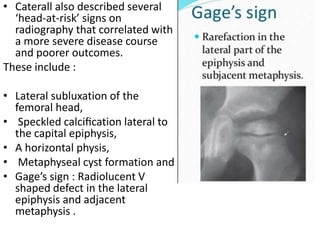 • Caterall also described several
‘head-at-risk’ signs on
radiography that correlated with
a more severe disease course
and poorer outcomes.
These include :
• Lateral subluxation of the
femoral head,
• Speckled calciﬁcation lateral to
the capital epiphysis,
• A horizontal physis,
• Metaphyseal cyst formation and
• Gage’s sign : Radiolucent V
shaped defect in the lateral
epiphysis and adjacent
metaphysis .
 