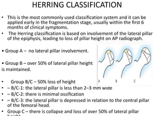 HERRING CLASSIFICATION
• This is the most commonly used classiﬁcation system and it can be
applied early in the fragmentation stage, usually within the ﬁrst 6
months of clinical symptoms.
• The Herring classiﬁcation is based on involvement of the lateral pillar
of the epiphysis, leading to loss of pillar height on AP radiograph.
• Group A – no lateral pillar involvement.
• Group B – over 50% of lateral pillar height
is maintained.
• Group B/C – 50% loss of height
• – B/C-1: the lateral pillar is less than 2–3 mm wide
• – B/C-2: there is minimal ossiﬁcation
• – B/C-3: the lateral pillar is depressed in relation to the central pillar
of the femoral head.
• Group C – there is collapse and loss of over 50% of lateral pillar
 