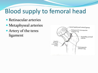 Blood supply to femoral head
 Retinacular arteries
 Metaphyseal arteries
 Artery of the teres
ligament
 