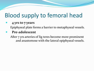 Blood supply to femoral head
 4 yrs to 7 years
Epiphyseal plate forms a barrier to metaphyseal vessels.
 Pre-adolescent
After 7 yrs arteries of lig teres become more prominent
and anastomose with the lateral epiphyseal vessels.
 