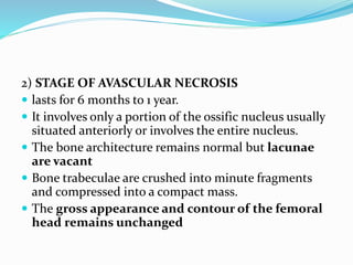2) STAGE OF AVASCULAR NECROSIS
 lasts for 6 months to 1 year.
 It involves only a portion of the ossific nucleus usually
situated anteriorly or involves the entire nucleus.
 The bone architecture remains normal but lacunae
are vacant
 Bone trabeculae are crushed into minute fragments
and compressed into a compact mass.
 The gross appearance and contour of the femoral
head remains unchanged
 