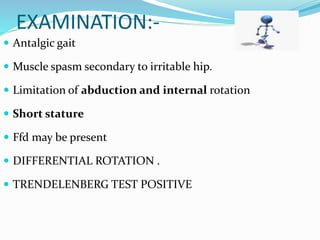 EXAMINATION:-
 Antalgic gait
 Muscle spasm secondary to irritable hip.
 Limitation of abduction and internal rotation
 Short stature
 Ffd may be present
 DIFFERENTIAL ROTATION .
 TRENDELENBERG TEST POSITIVE
 