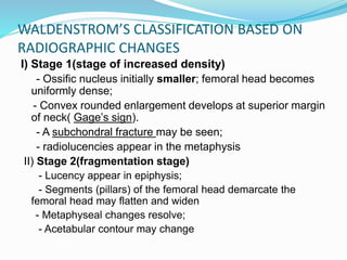 I) Stage 1(stage of increased density)
- Ossific nucleus initially smaller; femoral head becomes
uniformly dense;
- Convex rounded enlargement develops at superior margin
of neck( Gage’s sign).
- A subchondral fracture may be seen;
- radiolucencies appear in the metaphysis
II) Stage 2(fragmentation stage)
- Lucency appear in epiphysis;
- Segments (pillars) of the femoral head demarcate the
femoral head may flatten and widen
- Metaphyseal changes resolve;
- Acetabular contour may change
WALDENSTROM’S CLASSIFICATION BASED ON
RADIOGRAPHIC CHANGES
 