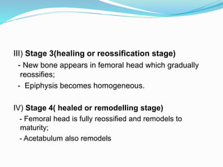 III) Stage 3(healing or reossification stage)
- New bone appears in femoral head which gradually
reossifies;
- Epiphysis becomes homogeneous.
IV) Stage 4( healed or remodelling stage)
- Femoral head is fully reossified and remodels to
maturity;
- Acetabulum also remodels
 