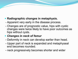  Radiographic changes in metaphysis.
- Apparent very early in the disease process.
- Changes are of prognostic value, hips with cystic
changes were twice likely to have poor outcomes as
hips without cysts.
 Changes in neck of femur
- Deformity in neck can develop earlier than head.
- Upper part of neck is expanded and metaphyseal
end becomes rounded.
- neck progressively becomes shorter and wider
 