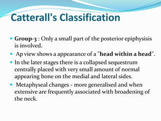 Catterall's Classification
 Group-3 : Only a small part of the posterior epiphysisis
is involved.
 Ap view shows a appearance of a "head within a head".
 In the later stages there is a collapsed sequestrum
centrally placed with very small amount of normal
appearing bone on the medial and lateral sides.
 Metaphyseal changes - more generalised and when
extensive are frequently associated with broadening of
the neck.
 