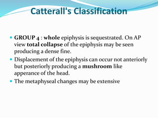 Catterall's Classification
 GROUP 4 : whole epiphysis is sequestrated. On AP
view total collapse of the epiphysis may be seen
producing a dense fine.
 Displacement of the epiphysis can occur not anteriorly
but posteriorly producing a mushroom like
apperance of the head.
 The metaphyseal changes may be extensive
 