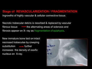 Stage of REVASCULARIZATION / FRAGMENTATION
Ingrowths of highly vascular & cellular connective tissue.
Necrotic trabecular debris is resorbed & replaced by vascular
fibrous tissue the alternating areas of sclerosis and
fibrosis appear on X- ray as fragmentation of epiphysis.
New immature bone laid on intact
necrosed trabeculae by creeping
substitution further
increases the density of ossific
nucleus on X-ray.
 