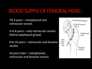 BLOODSUPPLYOFFEMORALHEAD:
Till 4 years – metaphyseal and
retinacular vessels
4 to 8 years – only retinacular vessels
(lateral epiphyseal group)
8 to 16 years – retinacular and foveolar
vessles
16 years later – metaphyseal,
retinacular and foveolar vessels
 