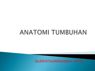 NURFATHURRAHMAH, M.Pd
 